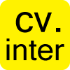 CV and interviews